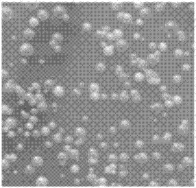 Method for in-vitro rapid optimization of strain metabolic pathway