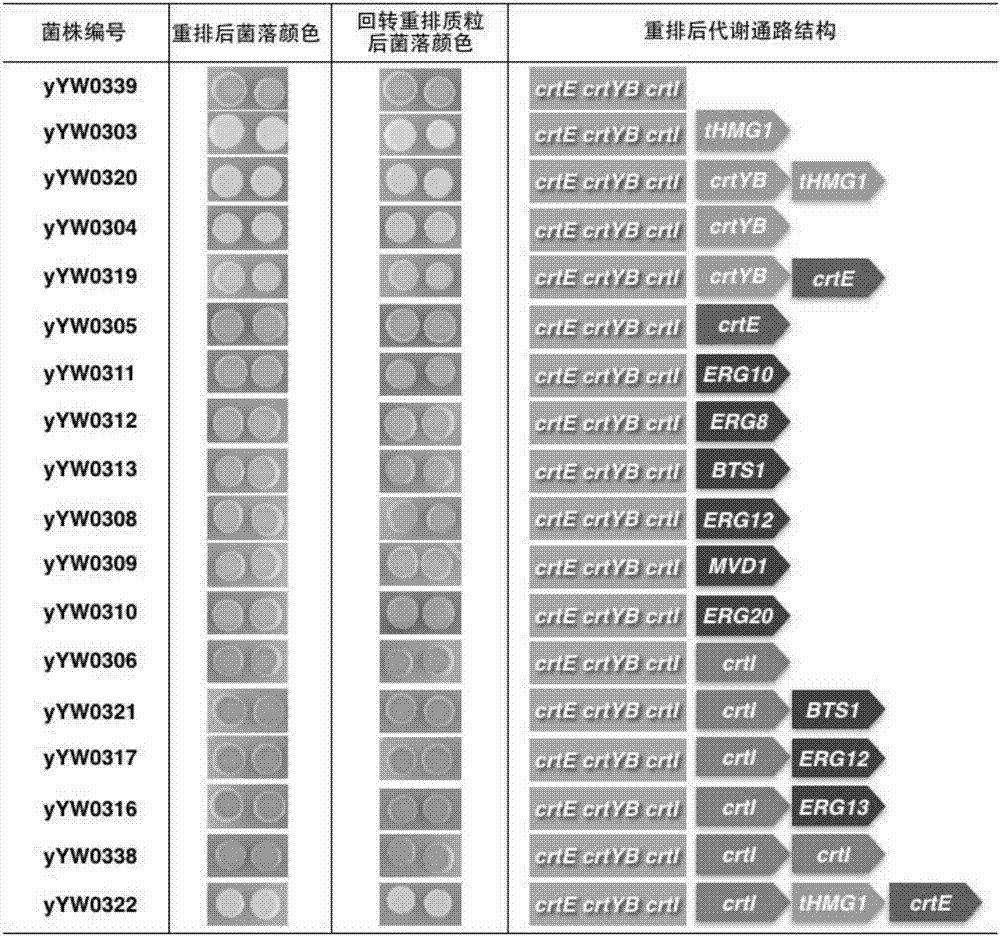 Method for in-vitro rapid optimization of strain metabolic pathway