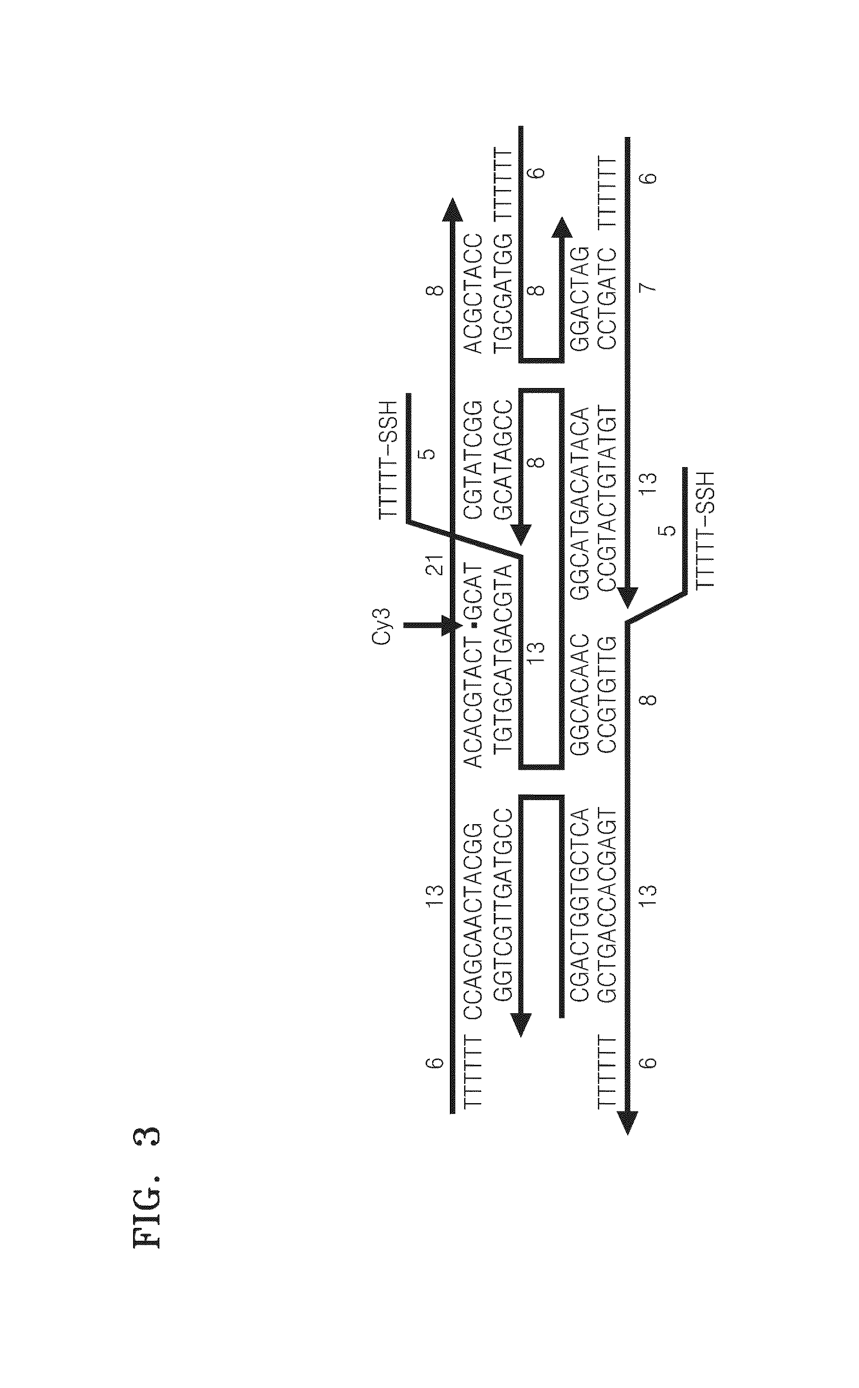 Interparticle spacing material including nucleic acid structures and use thereof