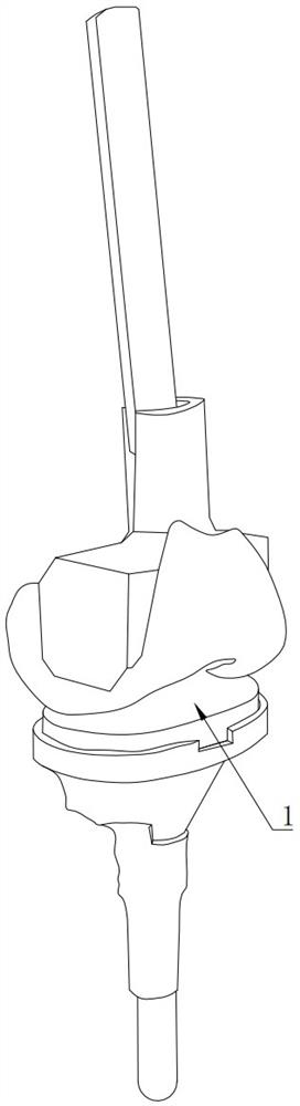 Knee joint replacement gap balance measurement system, preparation method and measurement method