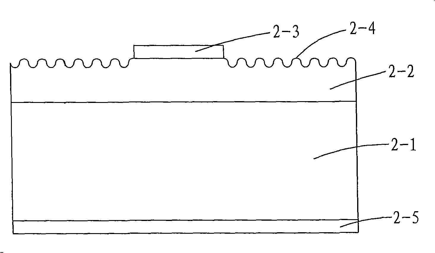 LED with coarsing interface and manufacturing method thereof