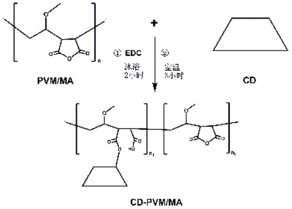 Application of cyclodextrin-methyl vinyl ether/maleic anhydride copolymer and self-assembled nanoparticle of copolymer in oral medicine delivery