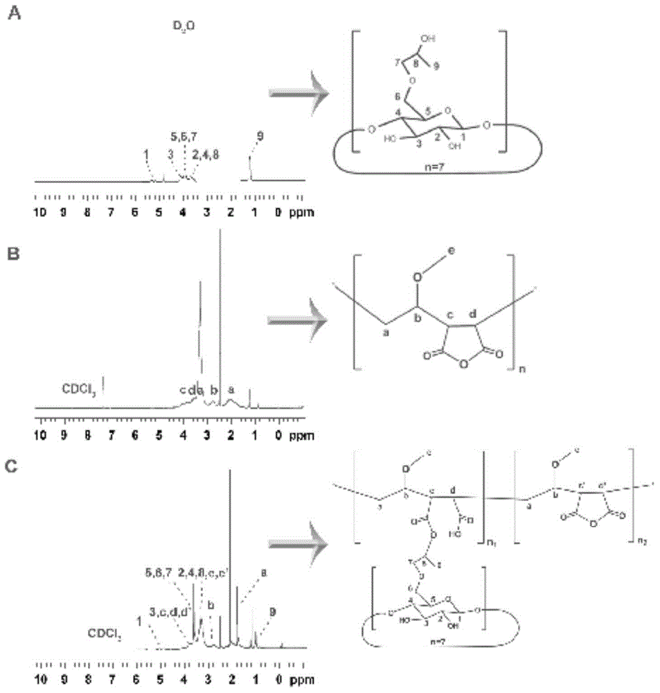 Application of cyclodextrin-methyl vinyl ether/maleic anhydride copolymer and self-assembled nanoparticle of copolymer in oral medicine delivery