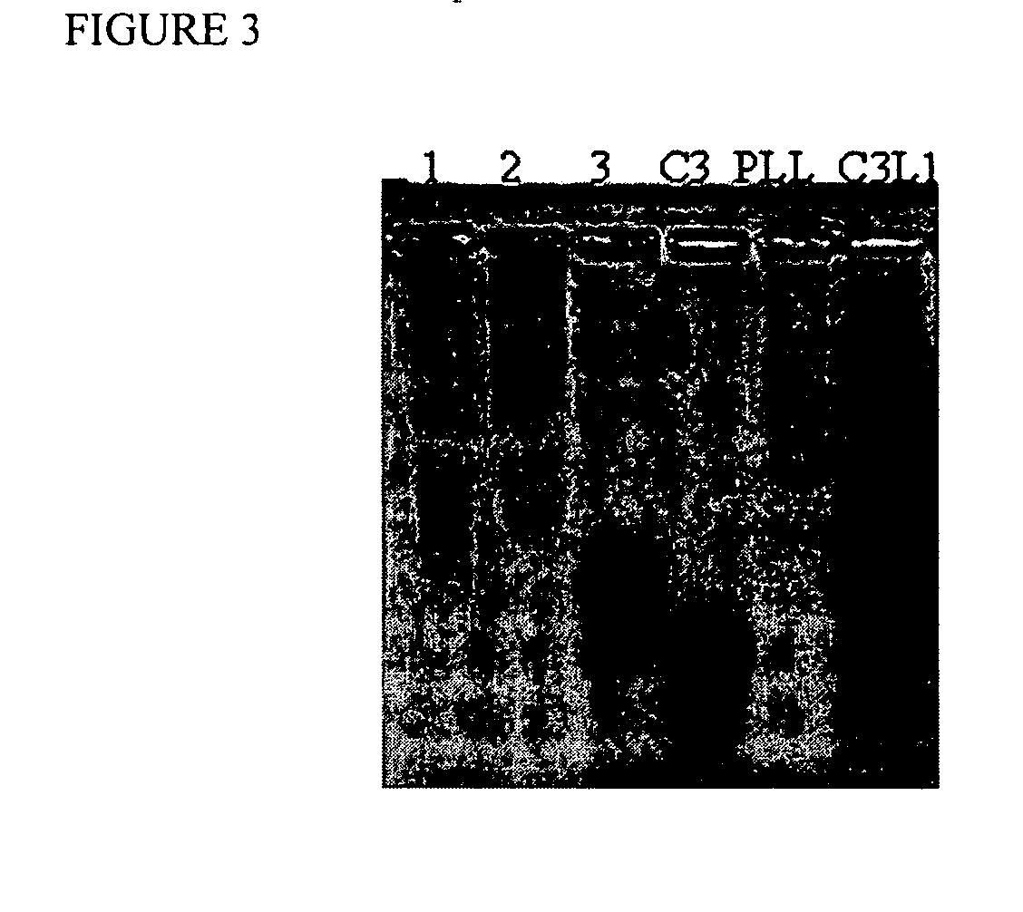 Controllably degradable polymeric biomolecule or drug carrier and method of synthesizing said carrier