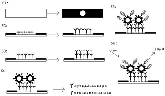 Novel coronavirus SARS-CoV-2 detection method and novel coronavirus SARS-CoV-2 detection device