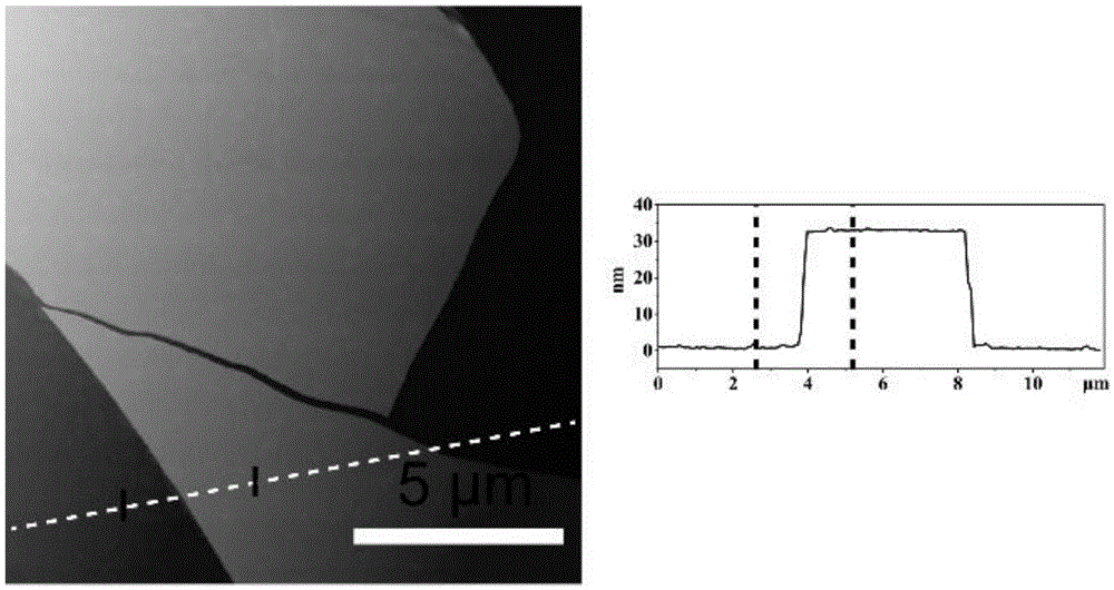 Porous nanocarbon slice