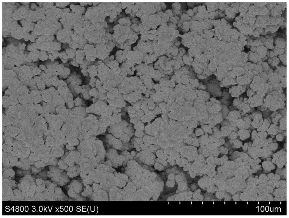 Titanium-based tin oxide antimony electrode modified with titanium dioxide network structure and preparation method thereof