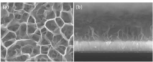 Preparation method of zinc indium sulfide nanosheet array film