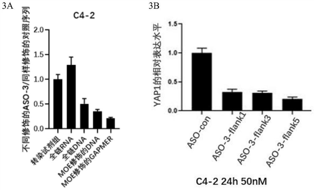 Application of antisense oligonucleotide ASOYAP1 in inhibition of multiple YAP1 positive cancers