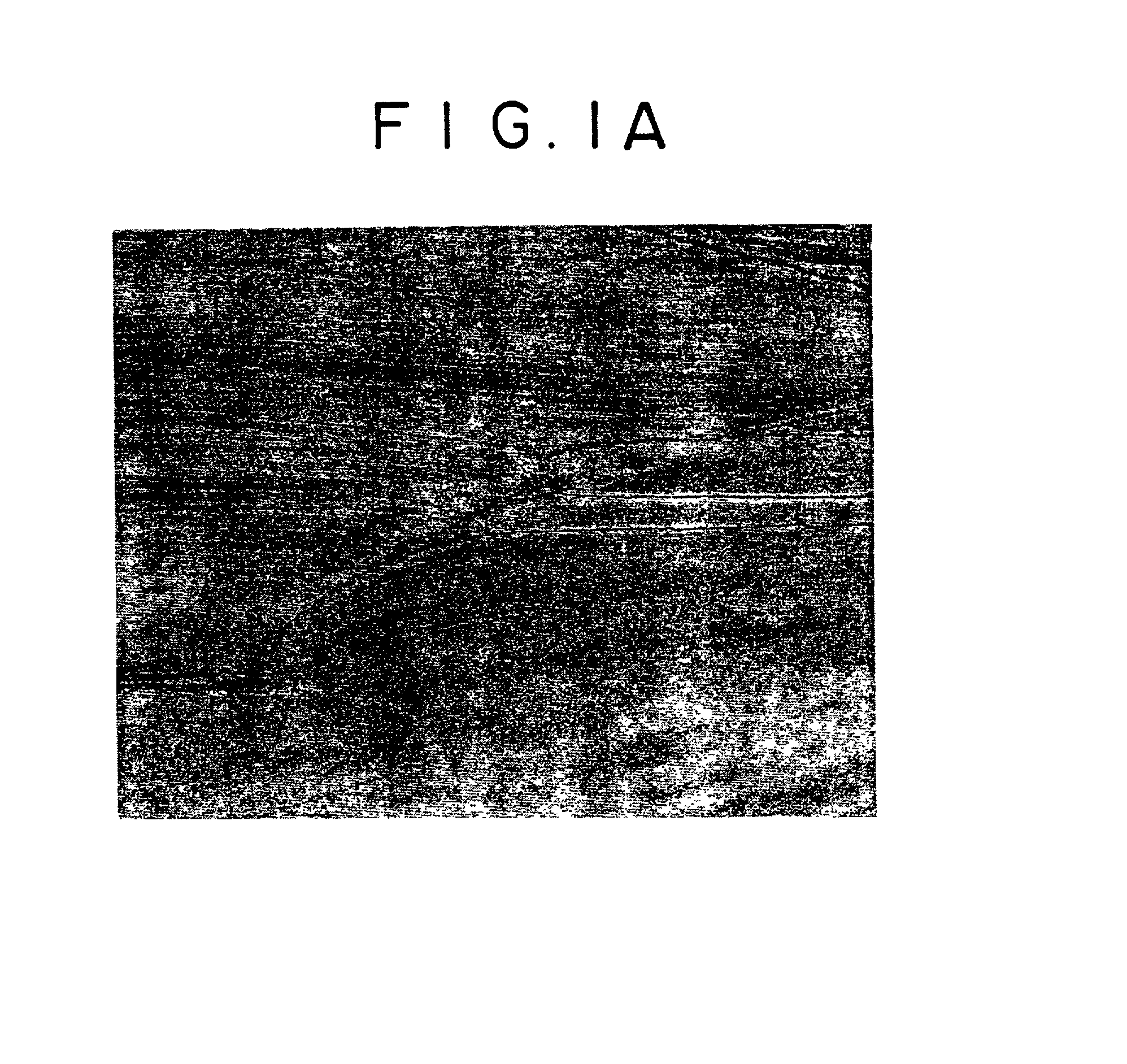 Titanium alloy and production thereof