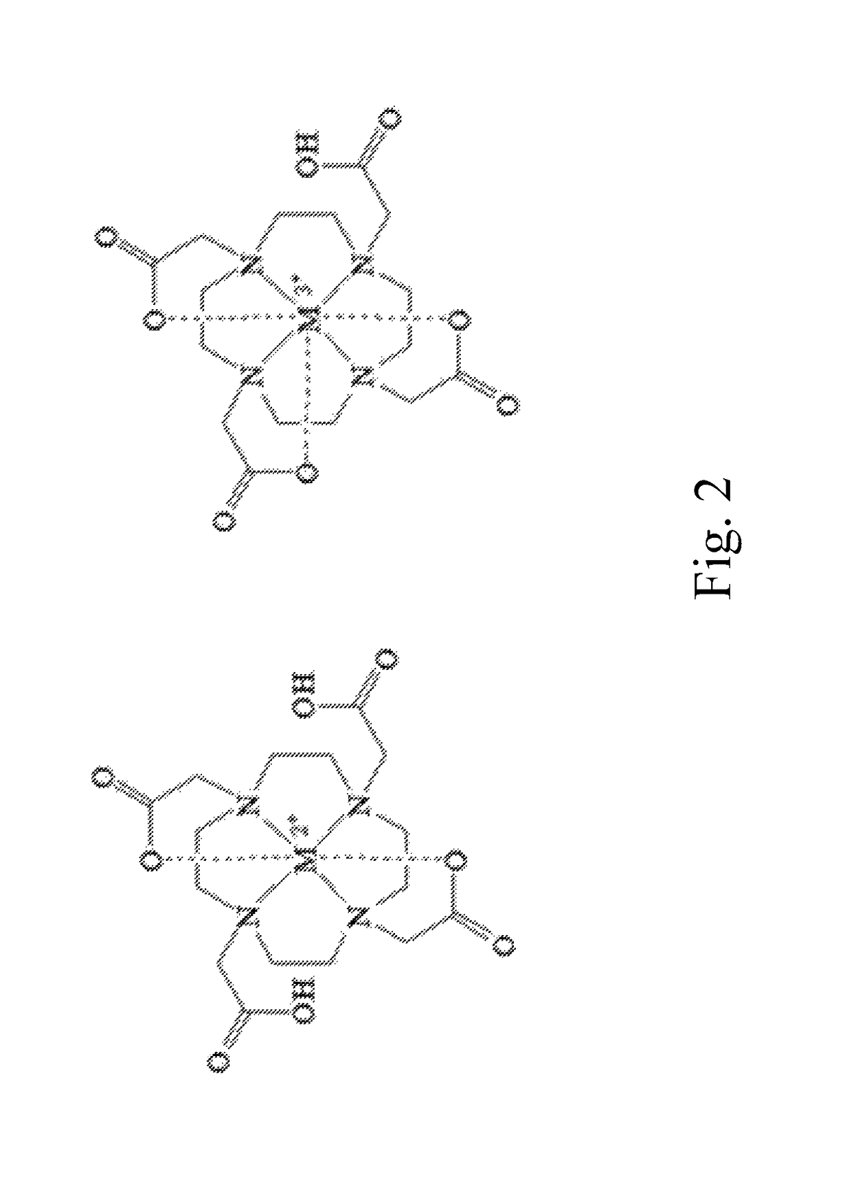 Contrast agent precursor and method for preparing the same