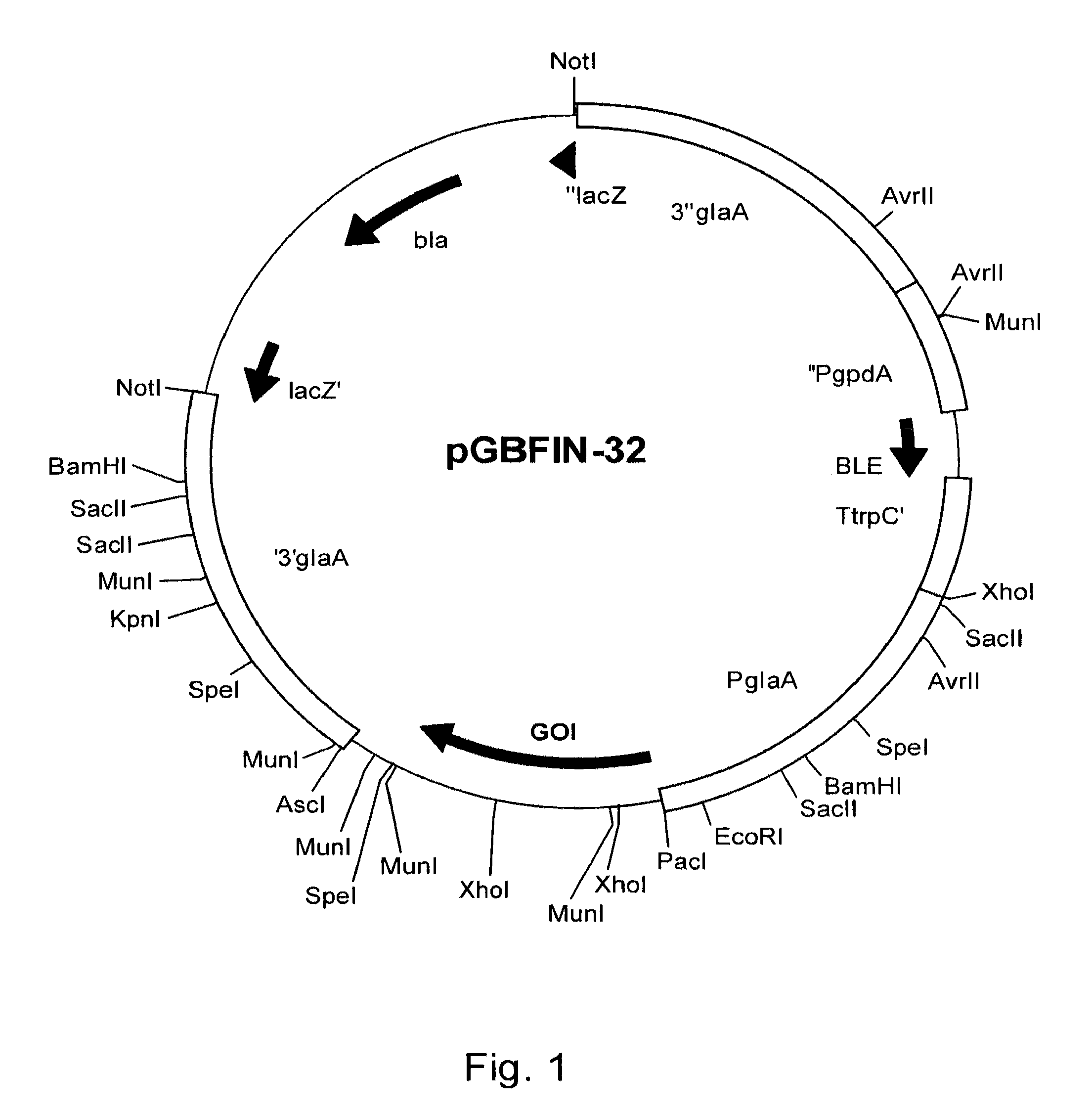 Method for production of a compound in a eukaryotic cell