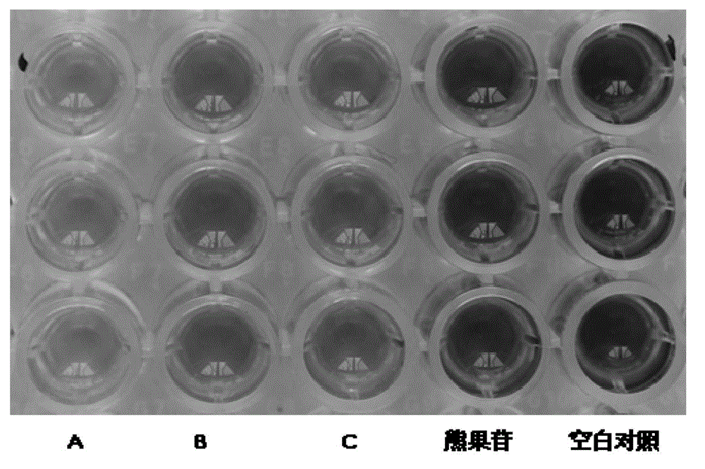 Opopanax extract, preparation method and application thereof