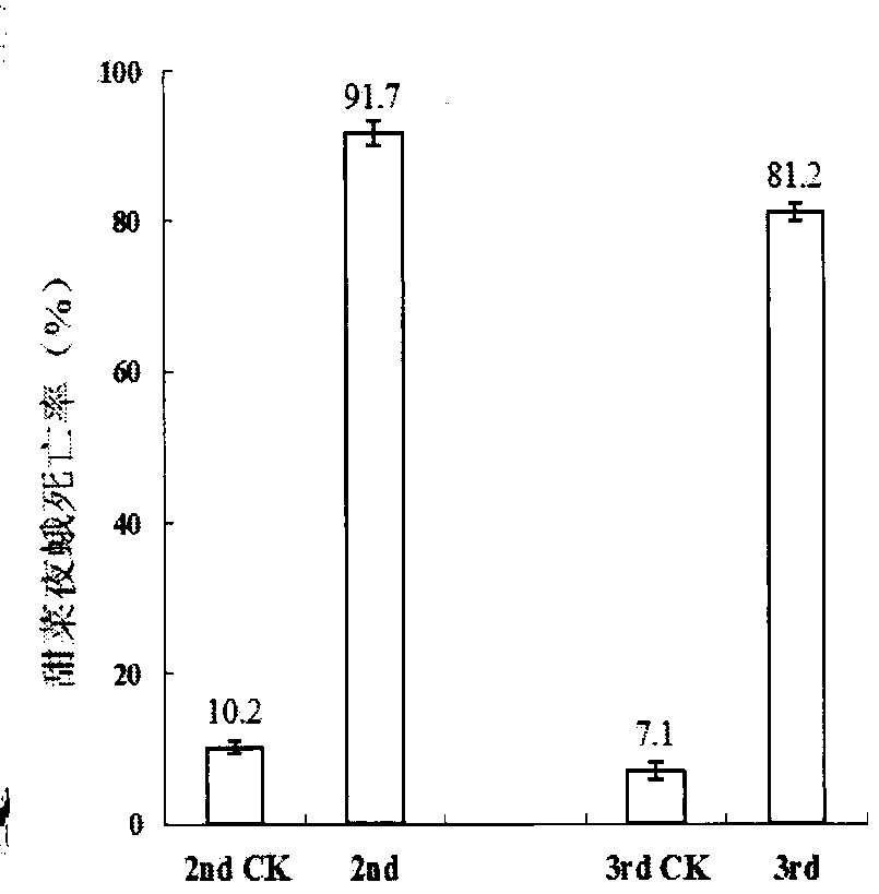Strain Pr-nj01 having insecticidal activity, insecticidal agent and application thereof