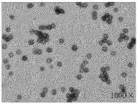 Preparation method and application of microbial flocculant