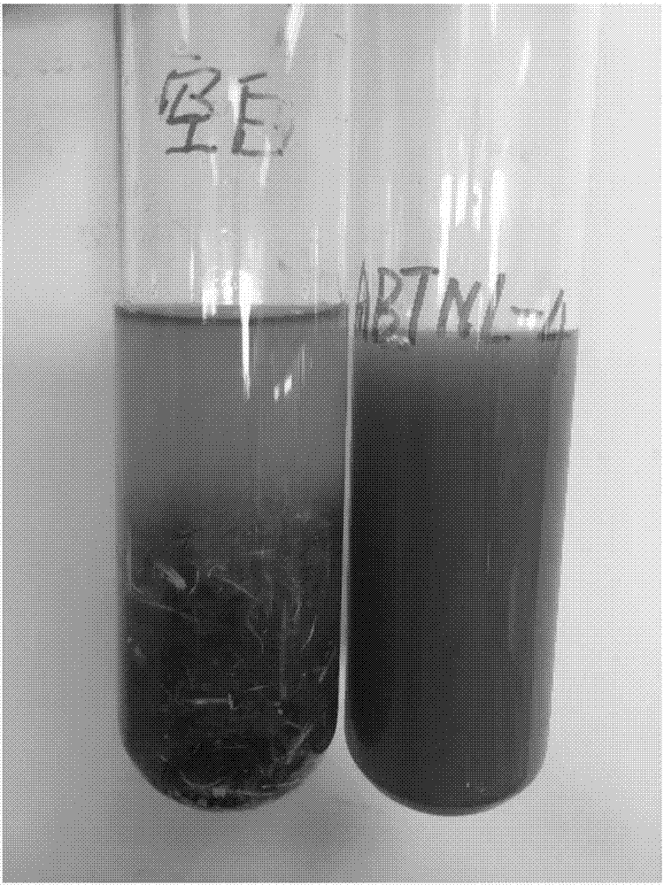 Screening method for feather degradation strain and application method