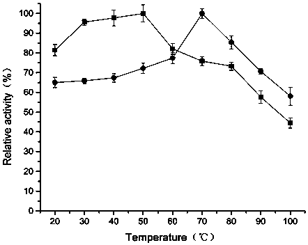 A heat-resistant and stress-resistant SOD modified by genetic engineering and its coding gene and application