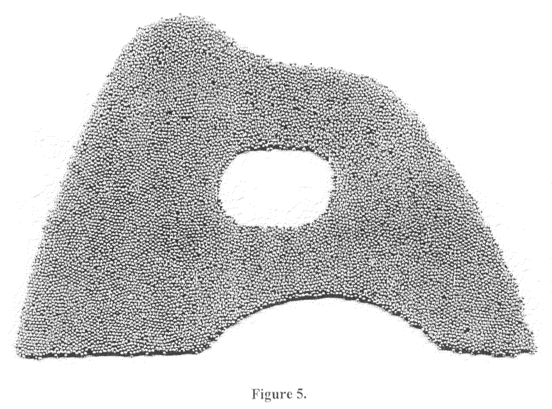 Microstructure applique and method for making same