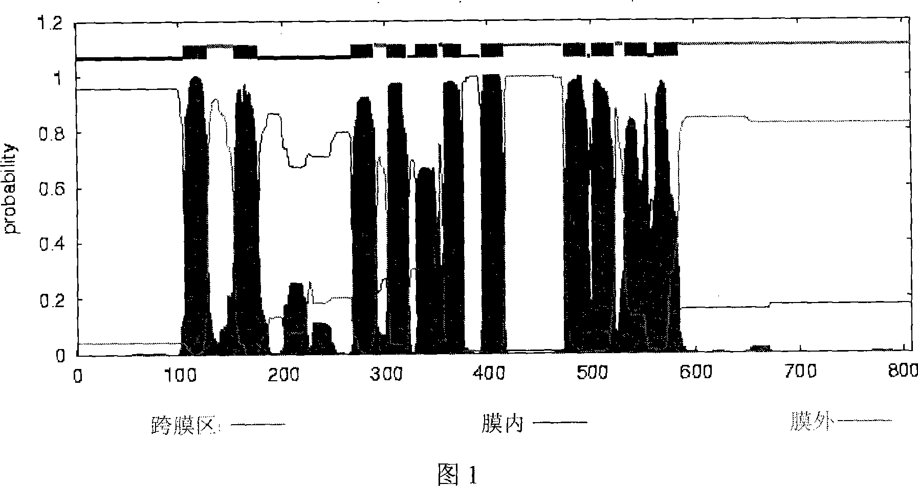 Rice chlorine ion passage gene OsCLC, coding protein and clone method thereof