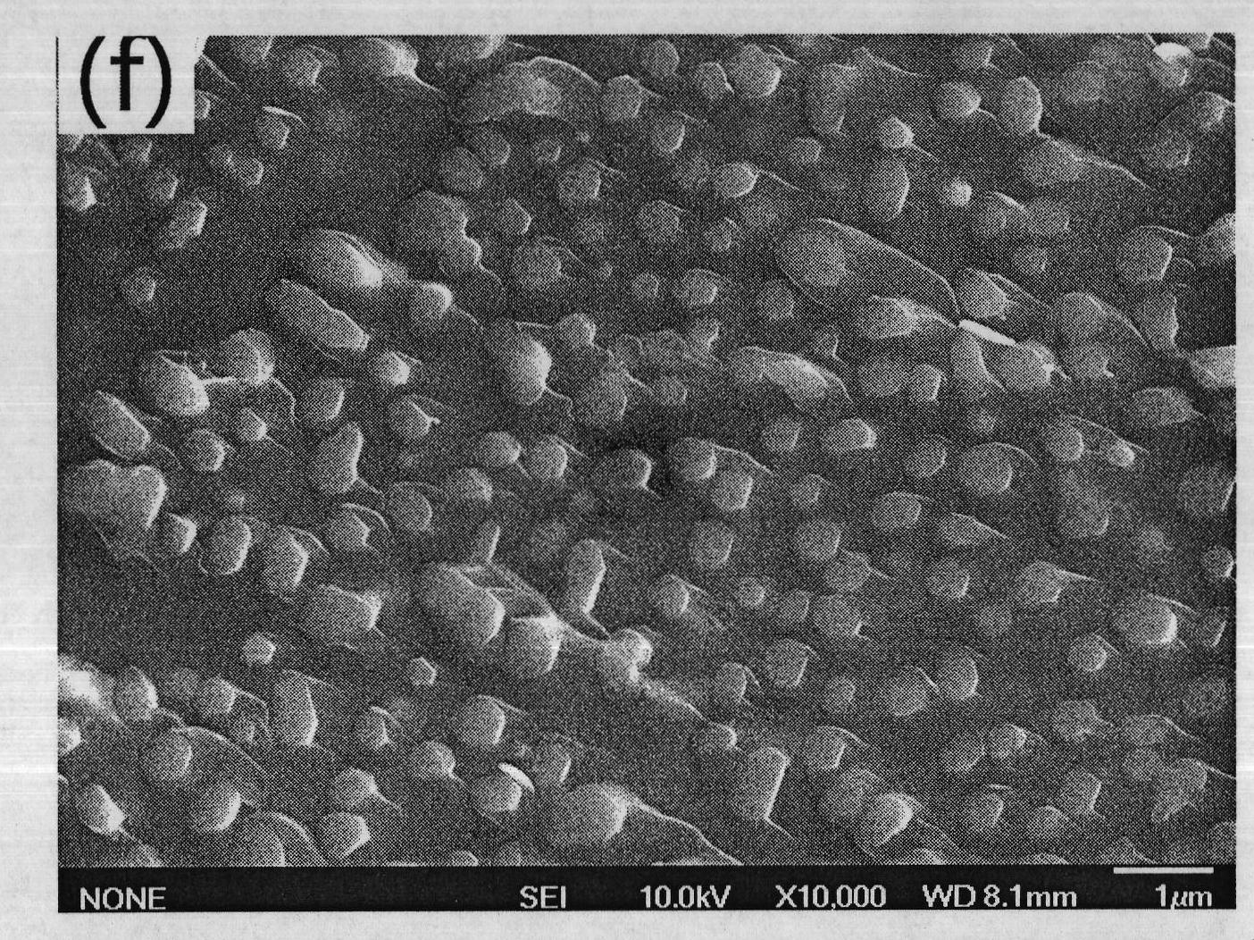 Strontium-reinforced bioactive glass ceramic