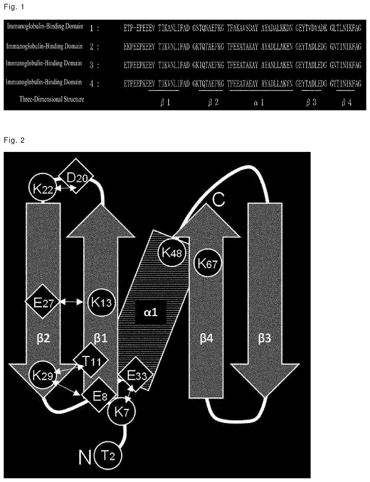 Immunoglobulin-binding polypeptide