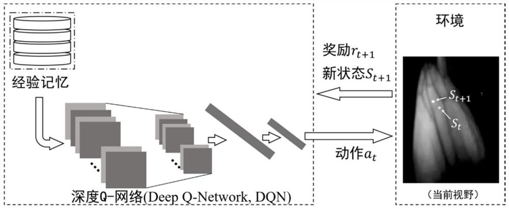 Venous bifurcation avoidance method and venous puncture robot