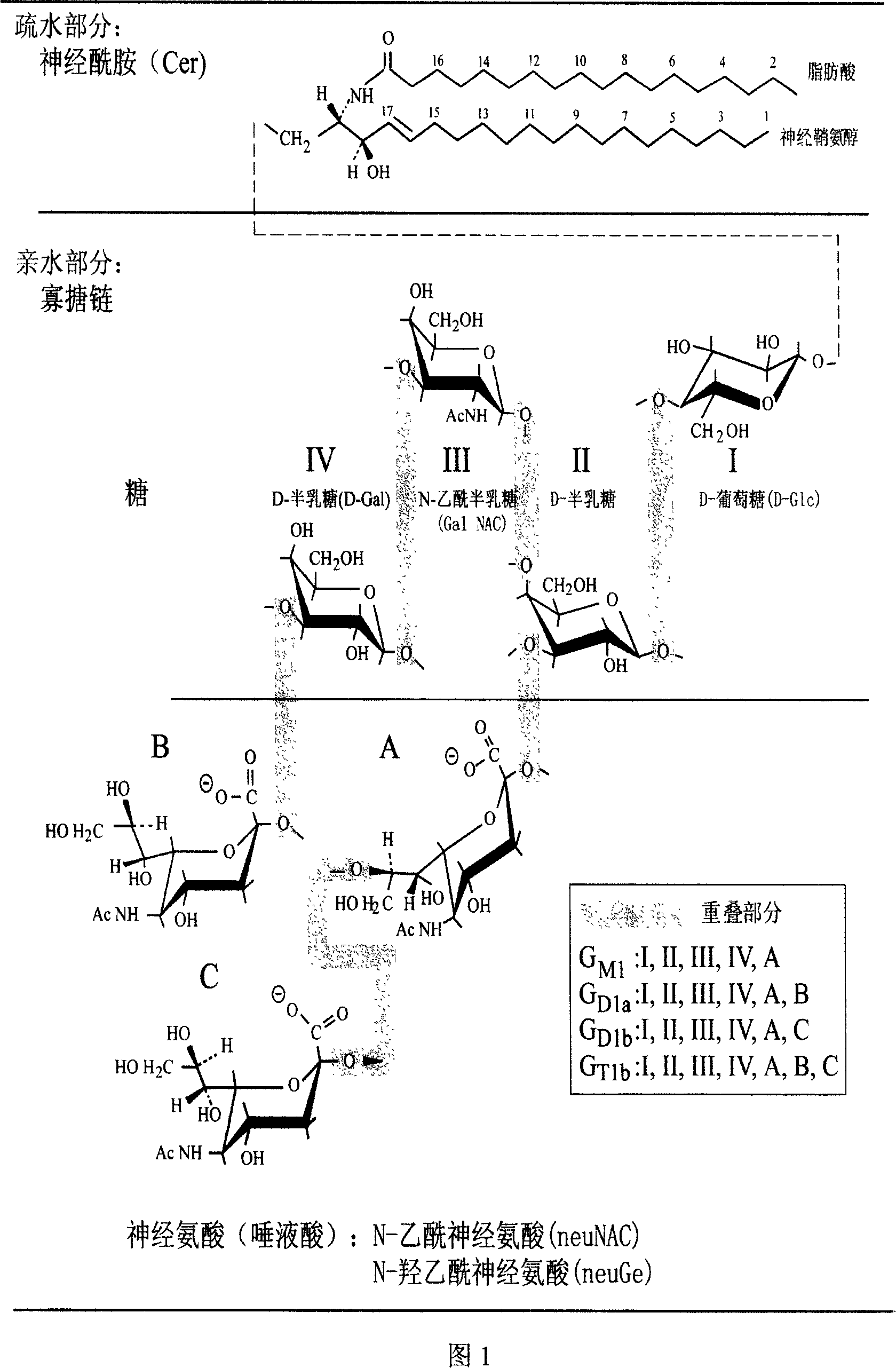 Method for extracting ganglioside with biological activity from animal tissues