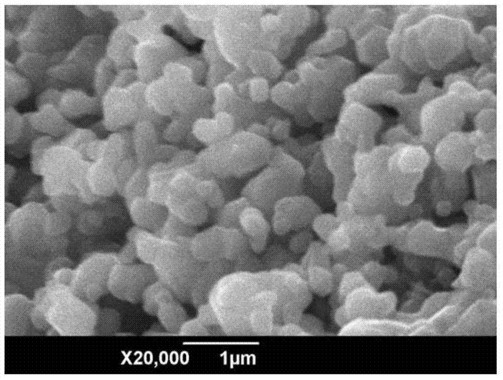 Cobalt-free lithium-rich manganese-based cathode material as well as preparation method and application thereof