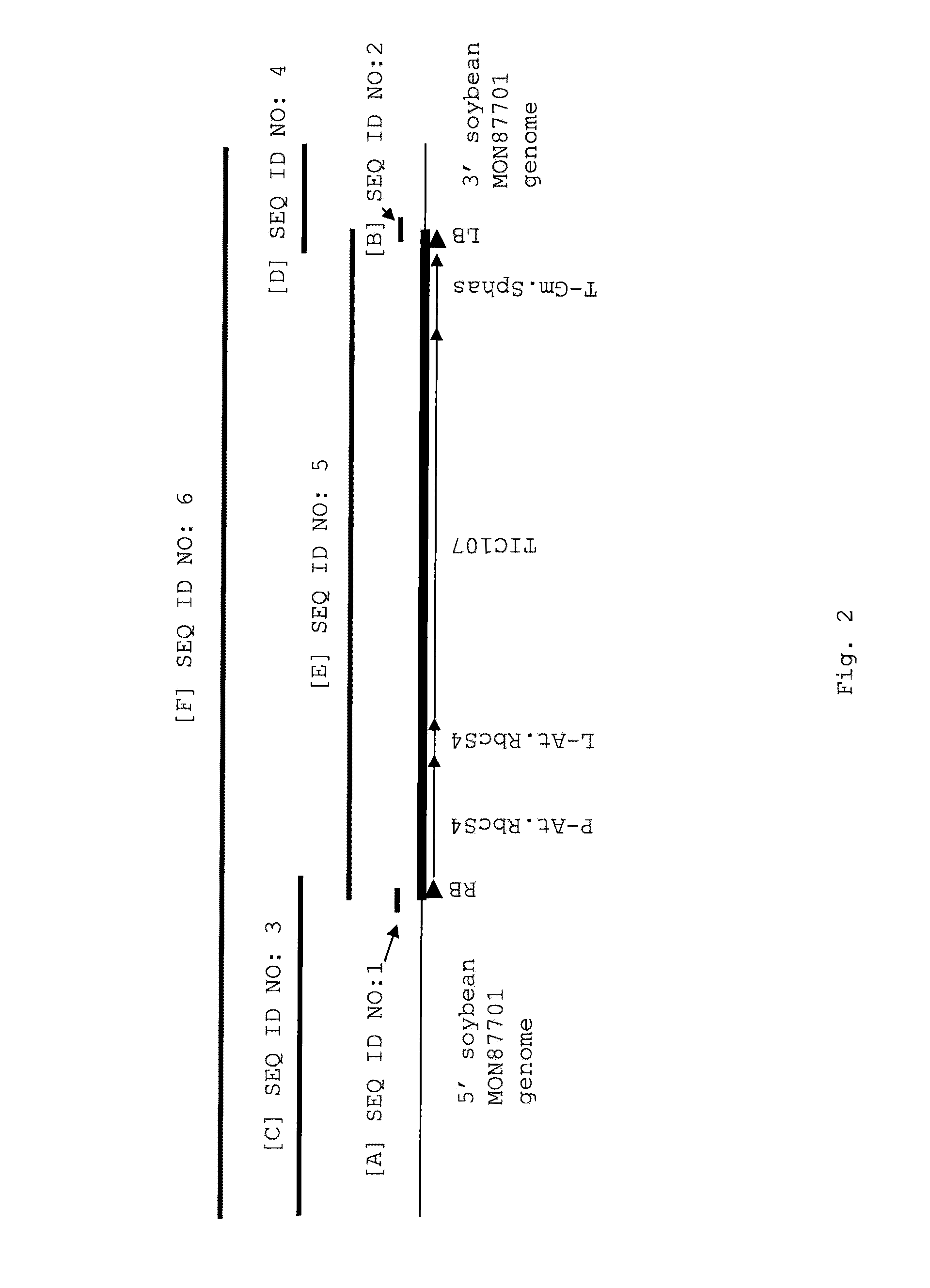 Soybean plant and seed corresponding to transgenic event MON87701 and methods for detection thereof