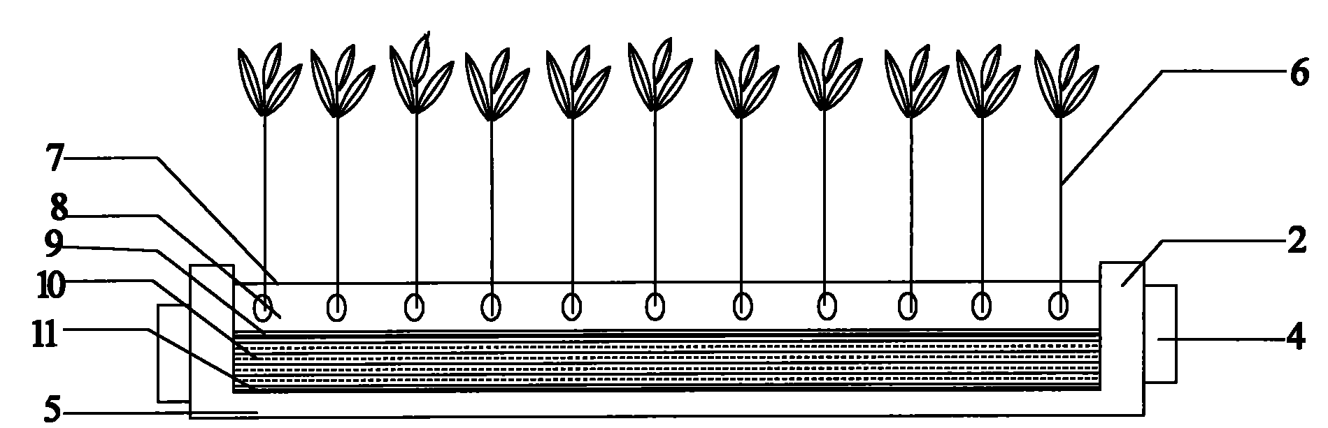 Floating cultivation method of mangrove plants