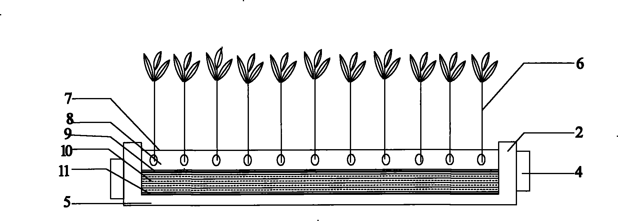 Floating cultivation method of mangrove plants