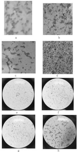 Bacillus subtilis L1, and application thereof in degradation of lincomycin residual in lincomycin residues