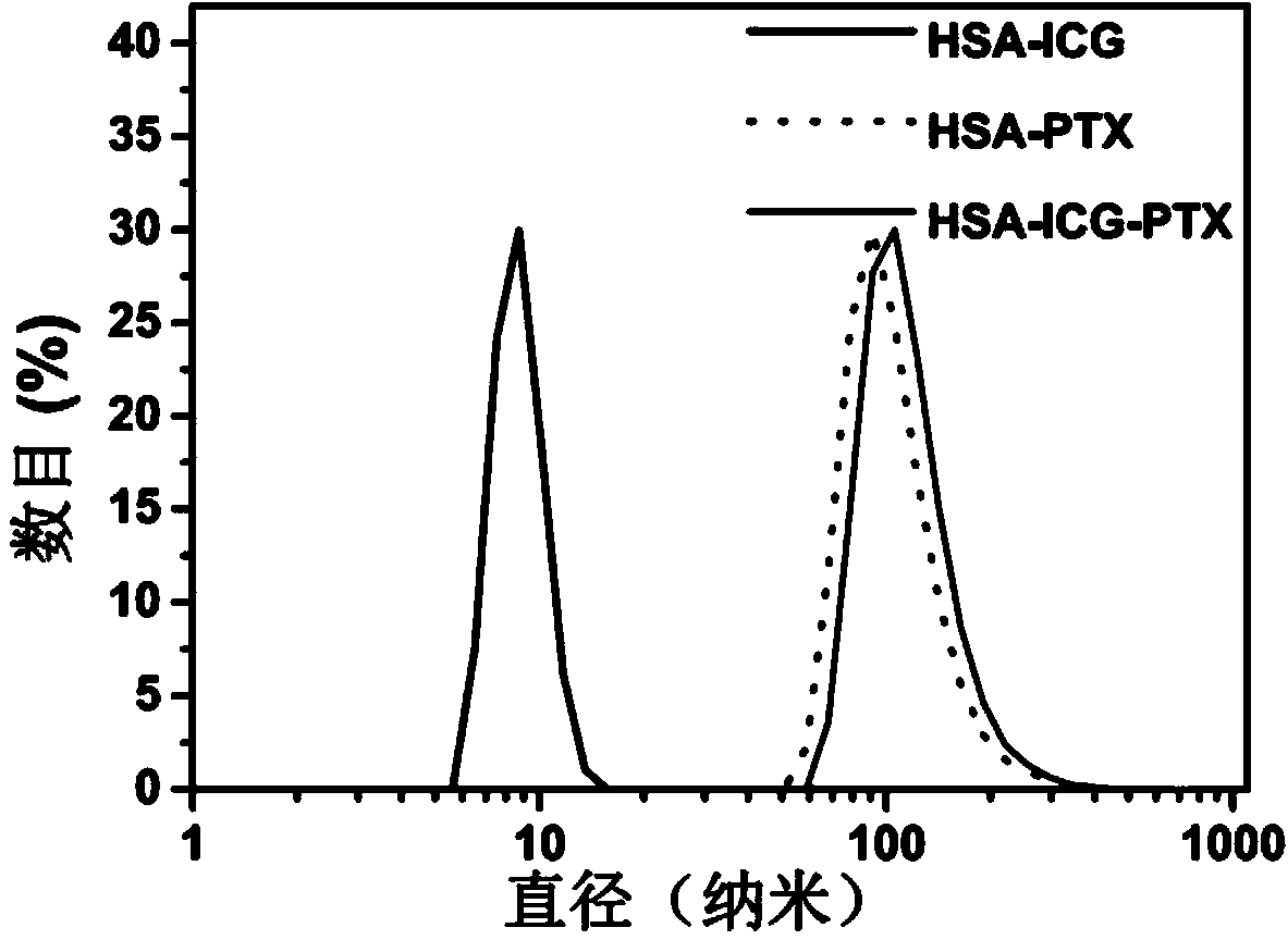 Albumin indocyanine green paclitaxel compound as well as preparation method and application thereof