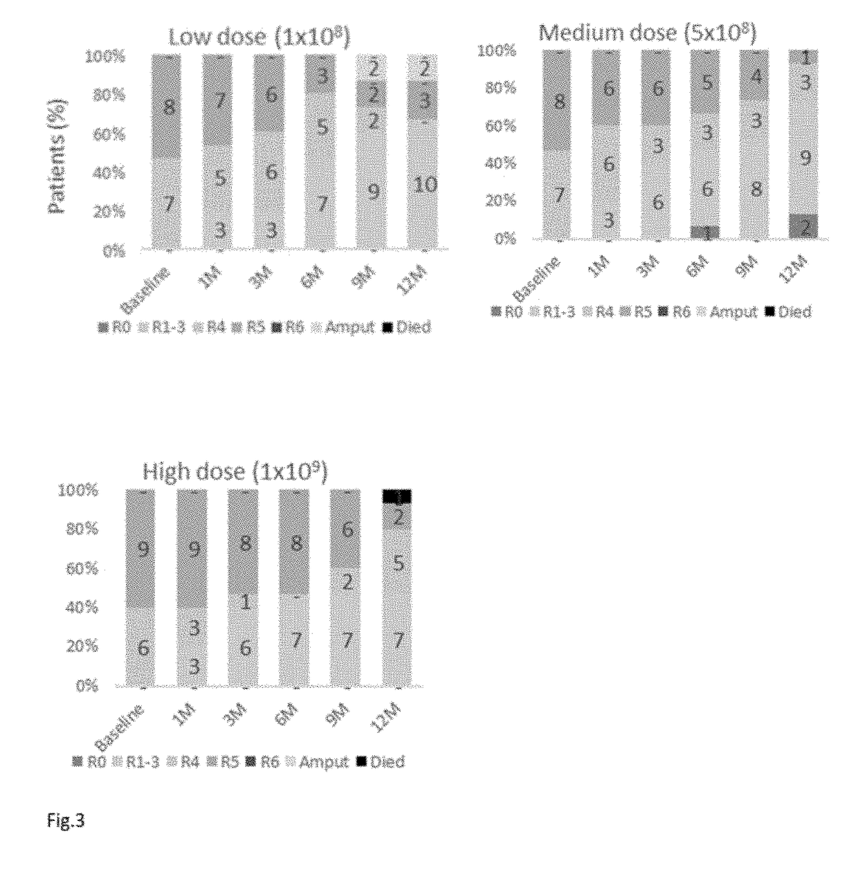 Cell suspension for use in the treatment of lower extremity peripheral artery disease