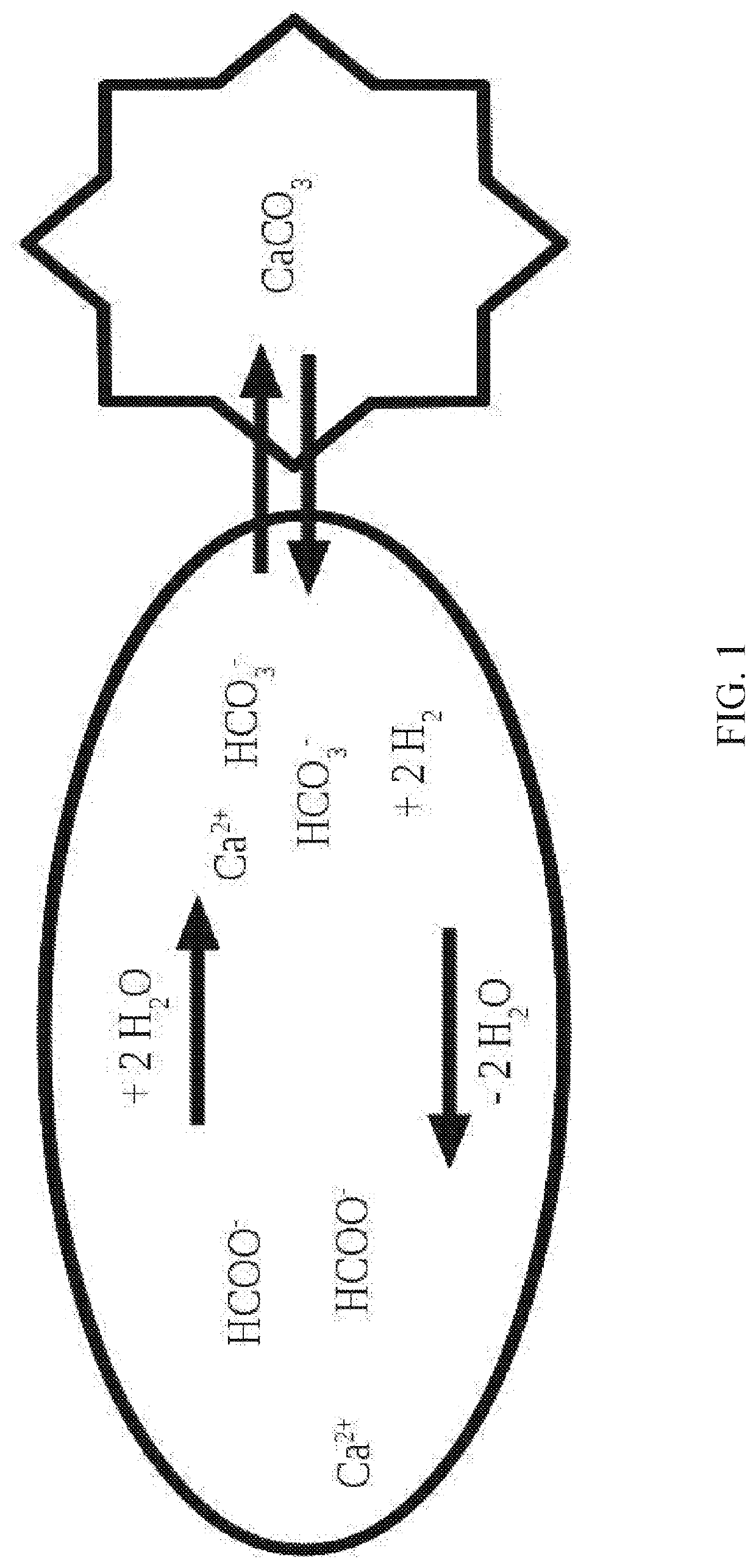 Salt-composition for supplementing a mineral balance in the aquaristic area, ready for use solution of said salt-composition, use of said salt-composition, and aquaristic ornamental stone obtained by said use