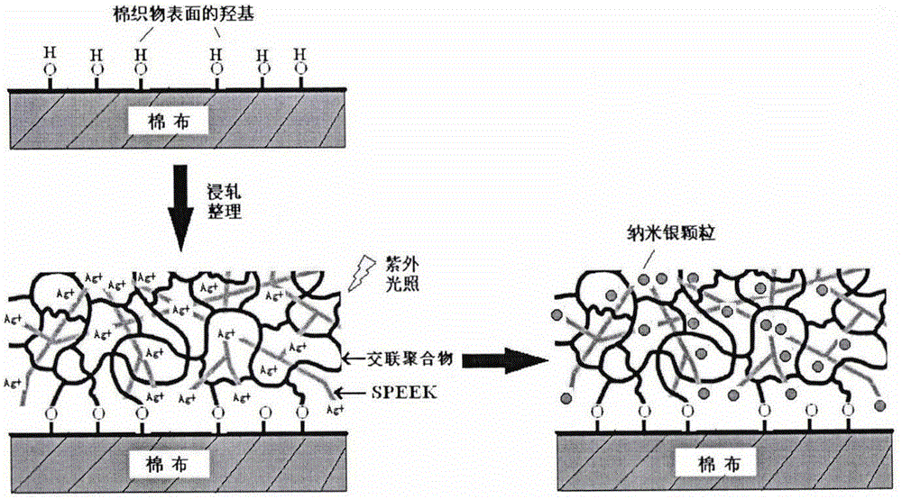 Preparation method for anti-bacteria pure cotton fabric