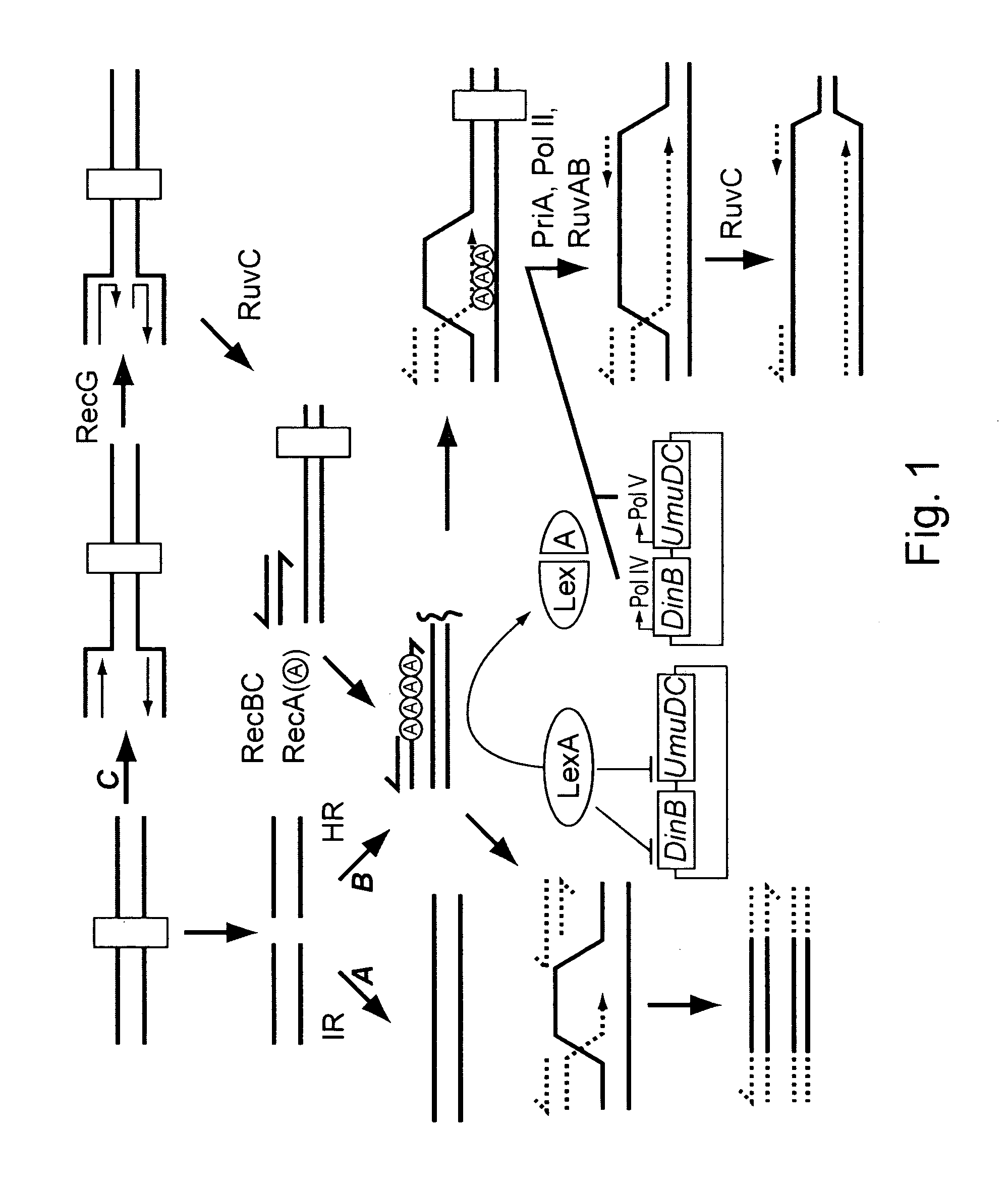 Business methods for commercializing antimicrobial and cytotoxic compounds