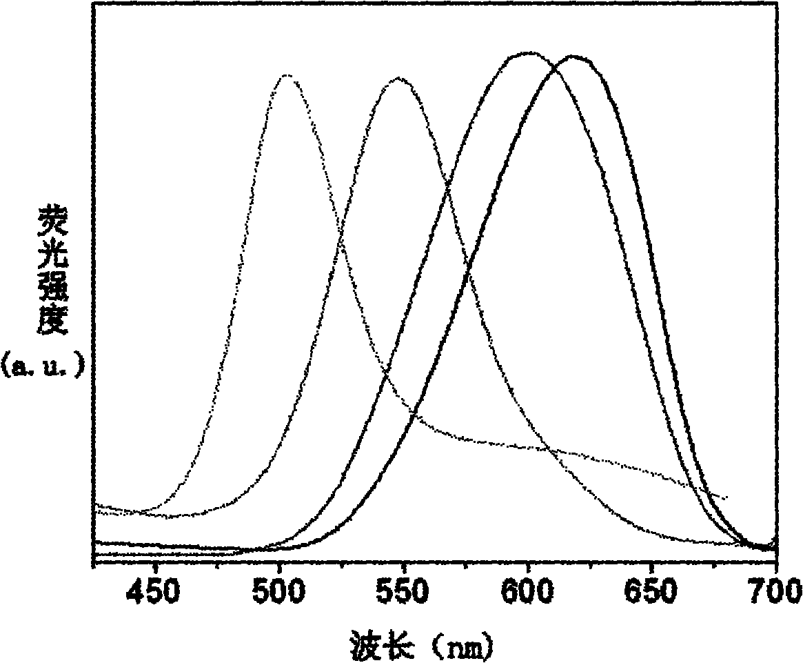Method for preparing polymer fluorescent nano particle
