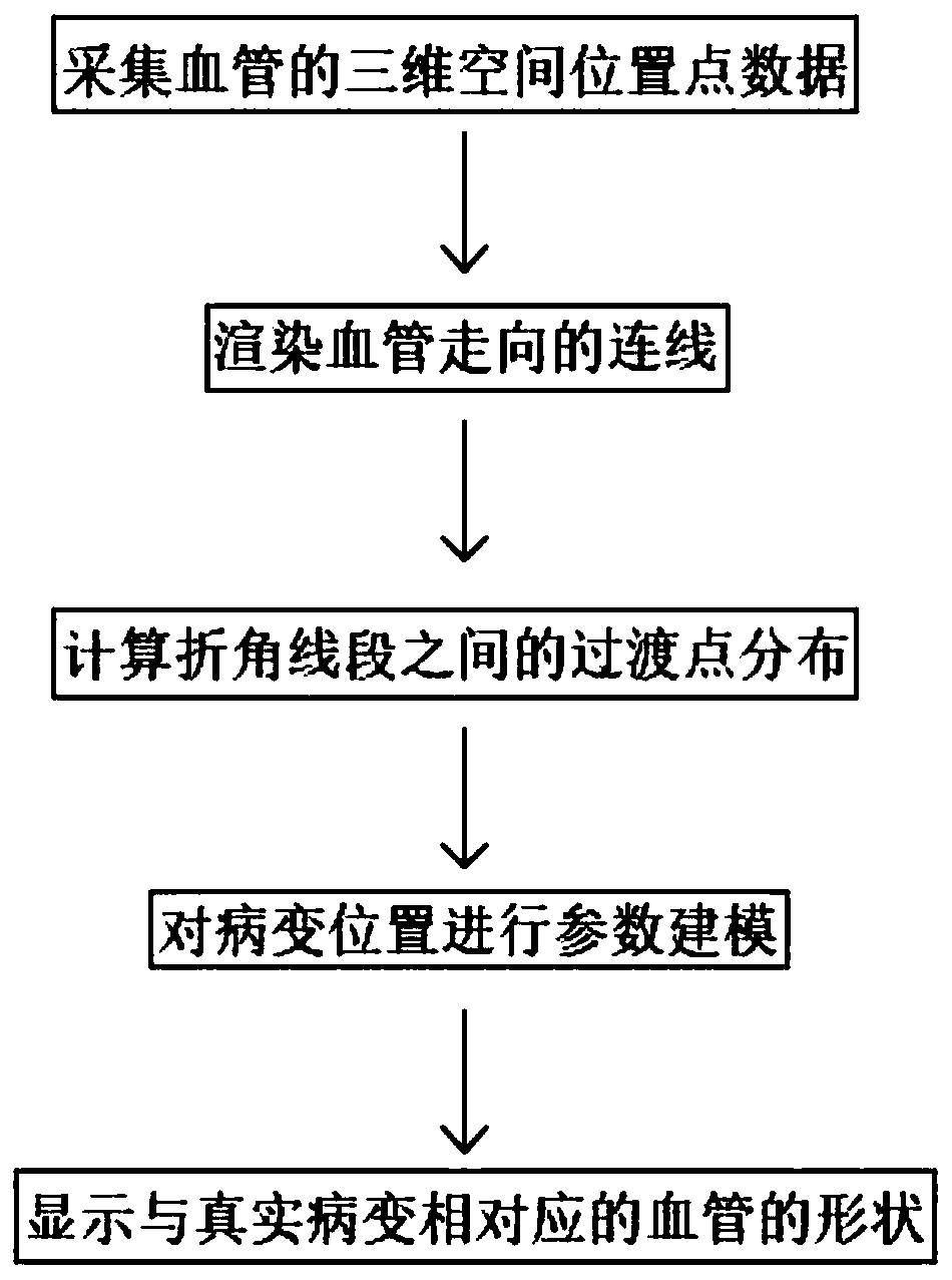 Method for simulating cardiac vascular lesion