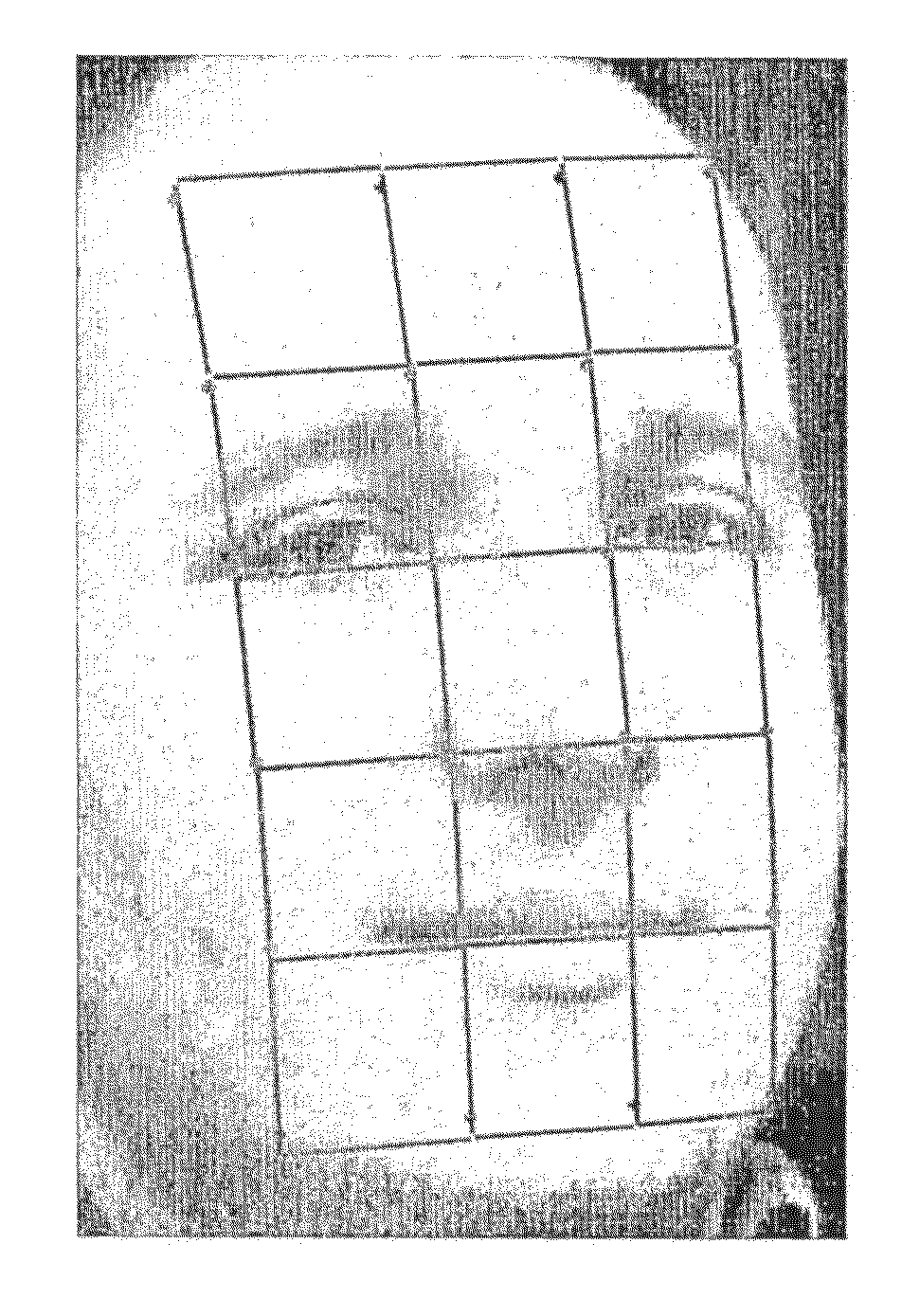 Face normalization for recognition and enrollment