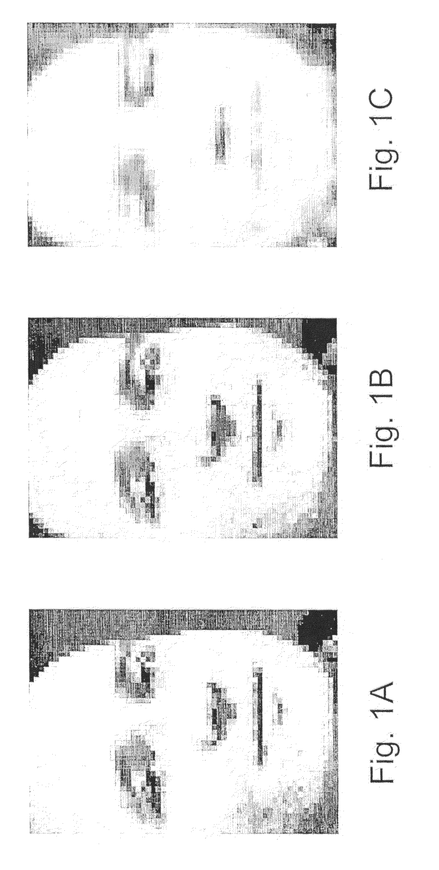 Face normalization for recognition and enrollment