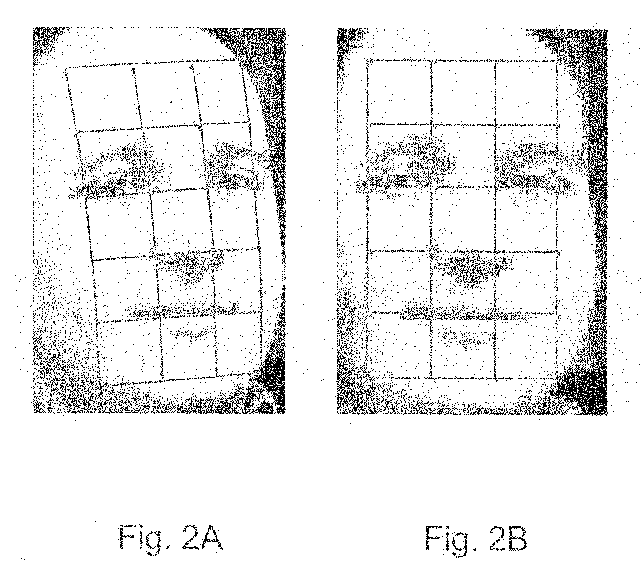 Face normalization for recognition and enrollment