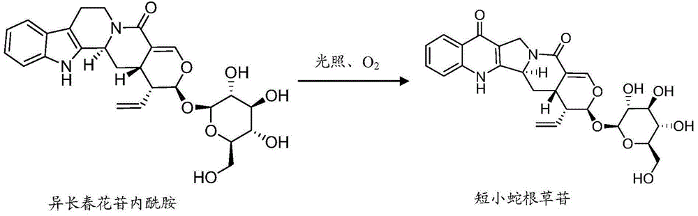 Pumiloside preparation method