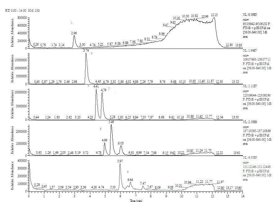 Method for rapidly detecting pyrazine substances in Baijiu through liquid chromatography-mass spectrometry