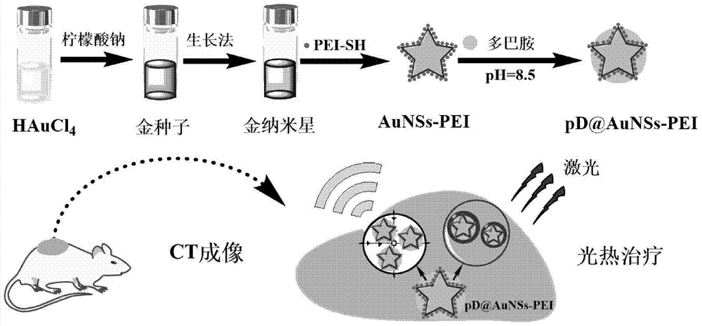 A kind of preparation method of polydopamine-encapsulated polyethyleneimine-stabilized gold nanostar photothermal therapeutic agent