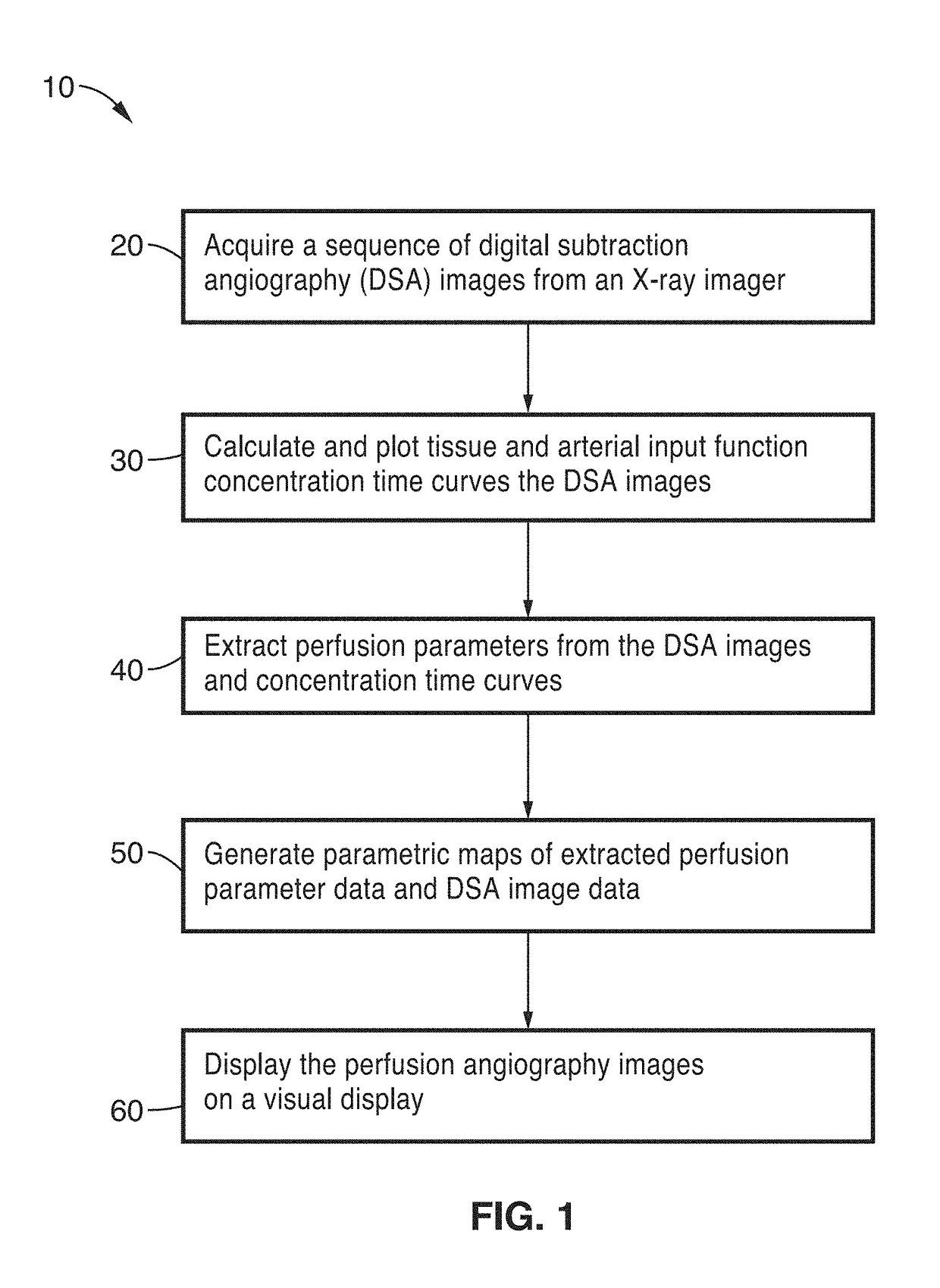 Perfusion digital subtraction angiography