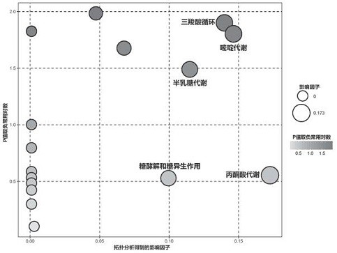 Breeding method of termites with higher beneficial substance content, raised termites and application