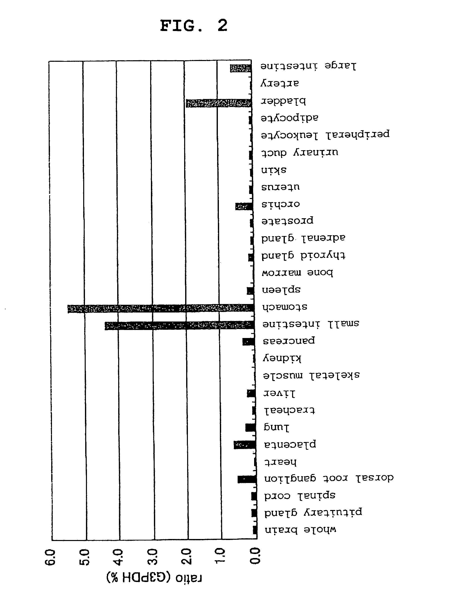 Screening method for prokinetic agent