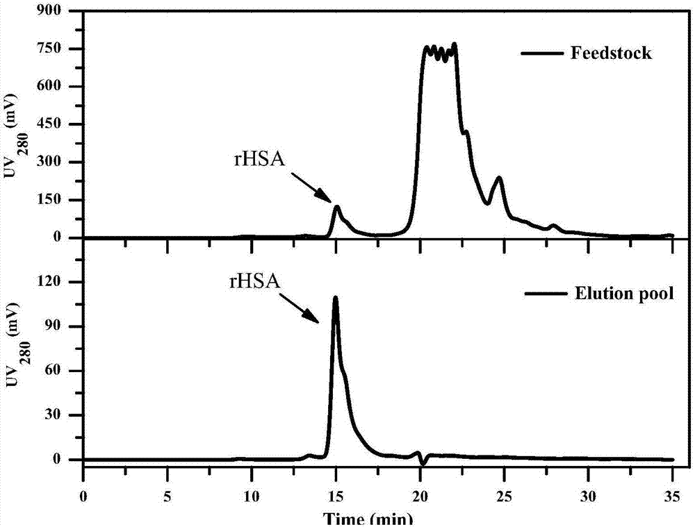 Mixed model chromatographic method for separating human serum albumin from yeast fermentation liquid