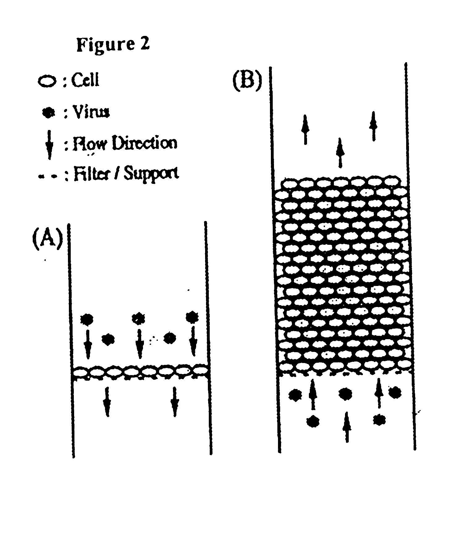 Method of introducing organic molecules into target cells